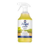 Nilco Angel Power Detergente Rapido per Terrazze 1L - Pulisce e Disinfetta Superfici Esterne in 2 Minuti