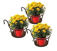 NILICAN - Cesto per fioriera da appendere,Set 3 pezzi in ferro battuto, per balcone, prodotti in ferro battuto, per piante coltivate in casa (Champagne)