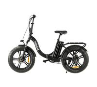 Nilox X9 20x4p Electric Bike Argento One Size / 250Wh