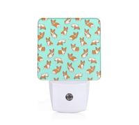 NImongt Corgi - Luce notturna con stampa di cane per camera da letto, camera dei bambini, bagno, corridoio, illuminazione notturna per la decorazione della casa