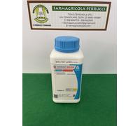 NIMROD 250 EW fungicida antioidico ad azione preventiva,curativa Lt1