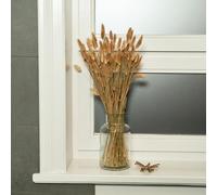 Nina-Maria's Deko Gold Fiori secchi decorativi Lagurus 60 pz | Pampas decorative boho chic per vaso | Coda di coniglio essiccata per decorazioni casa moderna e matrimonio