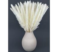 Nina-Maria's Deko Gold Pampas Decorative Alte Bianca Grande e Piccola - Fiori Secchi Decorativi per Vaso - Boho Chic - Composizione Floreale Essiccata per Arredo Moderno Casa e Matrimonio