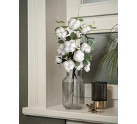 Nina-Maria's Deko Gold Vero ramo cotone, 1 pezzi con 4 teste ciascuna, ramo cotone essiccato, decorazione per vasi, bouquet di fiori secchi, come di nozze o decorazione da tavolo, Dried Flowers Cotton