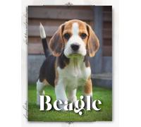 Nina Pustova Beagle: How to train your dog and raise from puppy corr (Tascabile)