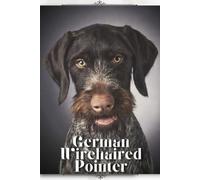Nina Pustova German Wirehaired Pointer (Tascabile)