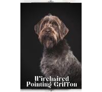 Nina Pustova Wirehaired Pointing Griffon (Tascabile)