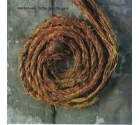 Nine Inch Nails Further Down The Spiral (CD)