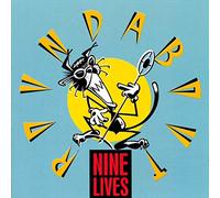 Nine Lives - Roundabout