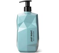 Nine Yards Just Right Moist Conditioner 1000ml balsamo anticrespo secchi o ricci