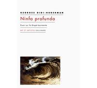 Ninfa profunda: Essai sur le drapé-tourmente