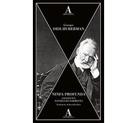 Ninfa profunda. Saggio sul panneggio-tormenta