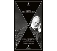 Ninfa profunda. Saggio sul panneggio-tormenta - Didi-Huberman Georges