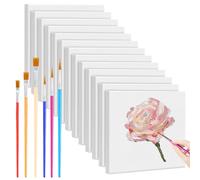 NINGYER Mini tele, 12 pezzi, 10 x 10 cm, piccola tela con 6 pennelli, rettangolari, piccole tele per pittura acrilica, pittura a olio, disegno, acquerello (bianco)