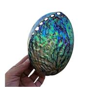 NINHFTDROU Decorazione conchiglia Grandi conchiglie di abalone naturali, conchiglie di abalone lucidate su un lato, perfette for decorazioni da spiaggia a tema (1 pezzo)(16cm)