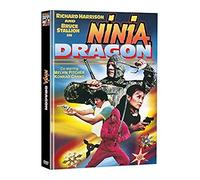 Ninja Dragon (1986) [ Origine Allemande, Sans Langue Francaise ]