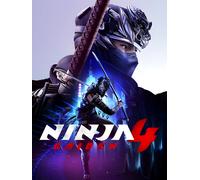 Ninja Gaiden 4