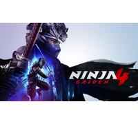Ninja Gaiden 4