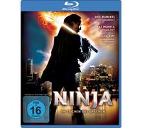 Ninja - Im Zeichen des Drachen