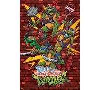 Ninja Tartarughe Cartoon Poster 61x91.5 CM 61x91.4cm Bambini Cameretta Muro Arte
