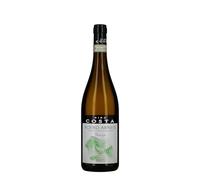 Nino Costa Langhe DOC Saurun