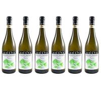 Nino Costa - Roero Arneis Docg “Sarun” - 0.75l (6)