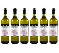 Nino Costa - Roero Arneis Docg “Seminari” - 0.75l (6)