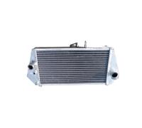 NIONGYN Compatibile con Aprilia per Dorsoduro 750 2009 2010 2011 2012 2013 2014 2015 2016 Serbatoi Refrigerante Radiatore Vaschette Refrigerante Troppo Pieno Radiatore radiatore dell'Acqua Moto