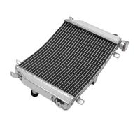 NIONGYN Compatibile con Aprilia per RS 660 2020 2021 2022 per Tuono 660 2021 2022 Radiatore Acqua Lucidato Radiatore Motore Raffreddamento Serbatoi Refrigerante radiatore dell'Acqua Moto