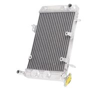 NIONGYN Compatibile con Arctic per Cat per DVX400 2003 2004 2005 2006 2007 2008 Motocicletta Radiatore Interamente in Alluminio Serbatoi di Espansione di Raffreddamento radiatore dell'Acqua Moto