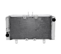 NIONGYN Compatibile con CB1000F 1993 1994 1995 1996 Radiatore Motore Raffreddamento Radiatore Acqua in Alluminio Serbatoio Refrigerante Serbatoio di Troppo Pieno radiatore dell'Acqua Moto