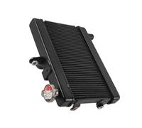 NIONGYN Compatibile con CL500 per CL300 2023-2024 Accessori per Moto in Alluminio Radiatore Motore Raffreddamento Radiatore Refrigerante Serbatoio Refrigerante radiatore dell'Acqua Moto