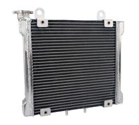 NIONGYN Compatibile con DS650 per Baja 2002 2003 2004 Radiatore di Raffreddamento del Motore Radiatore di Raffreddamento della Motocicletta Serbatoi di Raffreddamento radiatore dell'Acqua Moto