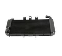 NIONGYN Compatibile con FZS600 per FZ600 1998 1999 2000 2001 2002 2003 Serbatoio di Troppo Pieno del Radiatore di Ricambio per Moto radiatore dell'Acqua Moto