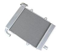 NIONGYN Compatibile con GL1800 2018 2019 2020 2021 2022 2023 Accessori per Moto Radiatore Raffreddamento Serbatoio dell'Acqua Protezione Serbatoi Refrigerante 1 Pz radiatore dell'Acqua Moto(Right)