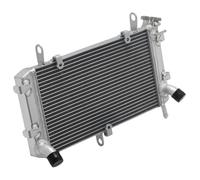 NIONGYN Compatibile con GSX-S750 2017 2018 2019 2020 2021 2022 Radiatore Ad Acqua Radiatore Motore Raffreddamento Liquido di Raffreddamento Radiatore di Lavaggio del Liquido radiatore dell'Acqua Moto