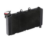 NIONGYN Compatibile con NC750S per ABS per DCT 2014 2015 2016 2017 2018 2019 2020 2021 Radiatore di Raffreddamento del Motore Serbatoio della Motocicletta radiatore dell'Acqua Moto