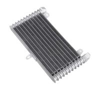 NIONGYN Compatibile con Suzuki per Hayabusa per GSX1300R 2022 2023 2024 Radiatore di Raffreddamento per Motocicletta Serbatoio del Liquido di Raffreddamento dell'Acqua radiatore dell'Acqua Moto