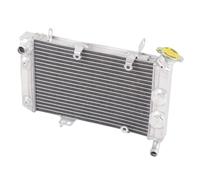 NIONGYN Compatibile con Suzuki per LTZ400 2003 2004 2005 2006 2007 2008 Moto Radiatore Interamente in Alluminio Radiatore Vaschette di Raffreddamento Radiatore radiatore dell'Acqua Moto
