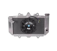 NIONGYN Compatibile con YFZ450 2004 2005 2006 2007 2008 2009 2010 2011 2012 2013 Radiatore in Alluminio E Ventola Radiatore Vaschette di Raffreddamento del Liquido radiatore dell'Acqua Moto