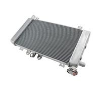 NIONGYN Compatibile con ZX-4R per ZX-4RR 2023 2024 Radiatore Raffreddamento Motore Radiatore Acqua Liquido di Raffreddamento Serbatoio di Trabocco Vaschette OEM:39060-0758 radiatore dell'Acqua Moto