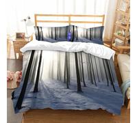 NIOYNJIS Copertina trapunta kit,universale per tutte le stagioni. Copritura trapunta di nozze,morbida e confortevole,Sentiero nella nebbiosa foresta invernale, illuminato dal sole del mat,200x228cm