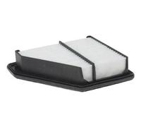 N1324073 Filtro aria (MARCA-NIPPARTS)