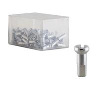 Nippli In Lega DT Swiss 2.0 x 12mm Argento Scatola Di 100