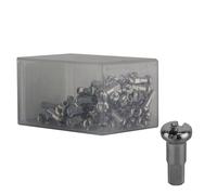 Nippli In Rame DT Swiss 2.0x12mm Argento Scatola Di 100