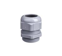 Nipplo cavo poliammide PG36 IP68 36 SKINTOP ST 53015070