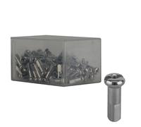 Nipplo In Ottone DT Swiss 2.0 X 14Mm Argento Scatola Di 100