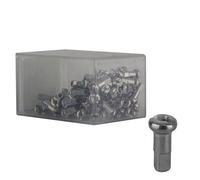 Nipplo In Ottone DT Swiss Per Raggi 1.8 X 12Mm Argento Scatola Da 100