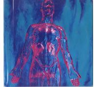 Nirvana - Sliver - Black Vinyl + Black Label Reissue