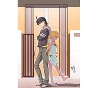 Nisemonogatari & Nero Blu-Ray Box Edizione Limitata ANZX-11541 Nuovo